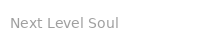 Next Level Soul Podcast
